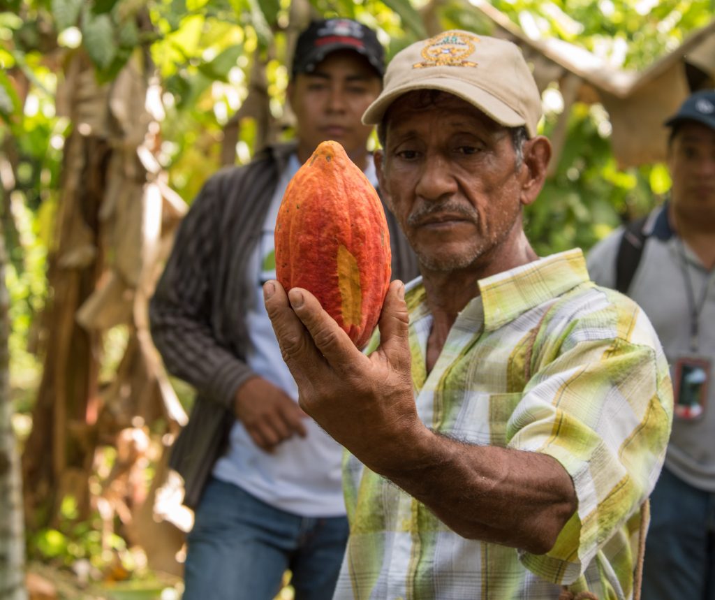 Farmer holding orange/red cacao pod in forest
